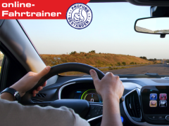 STIPEK - ONLINE Fahrtrainer